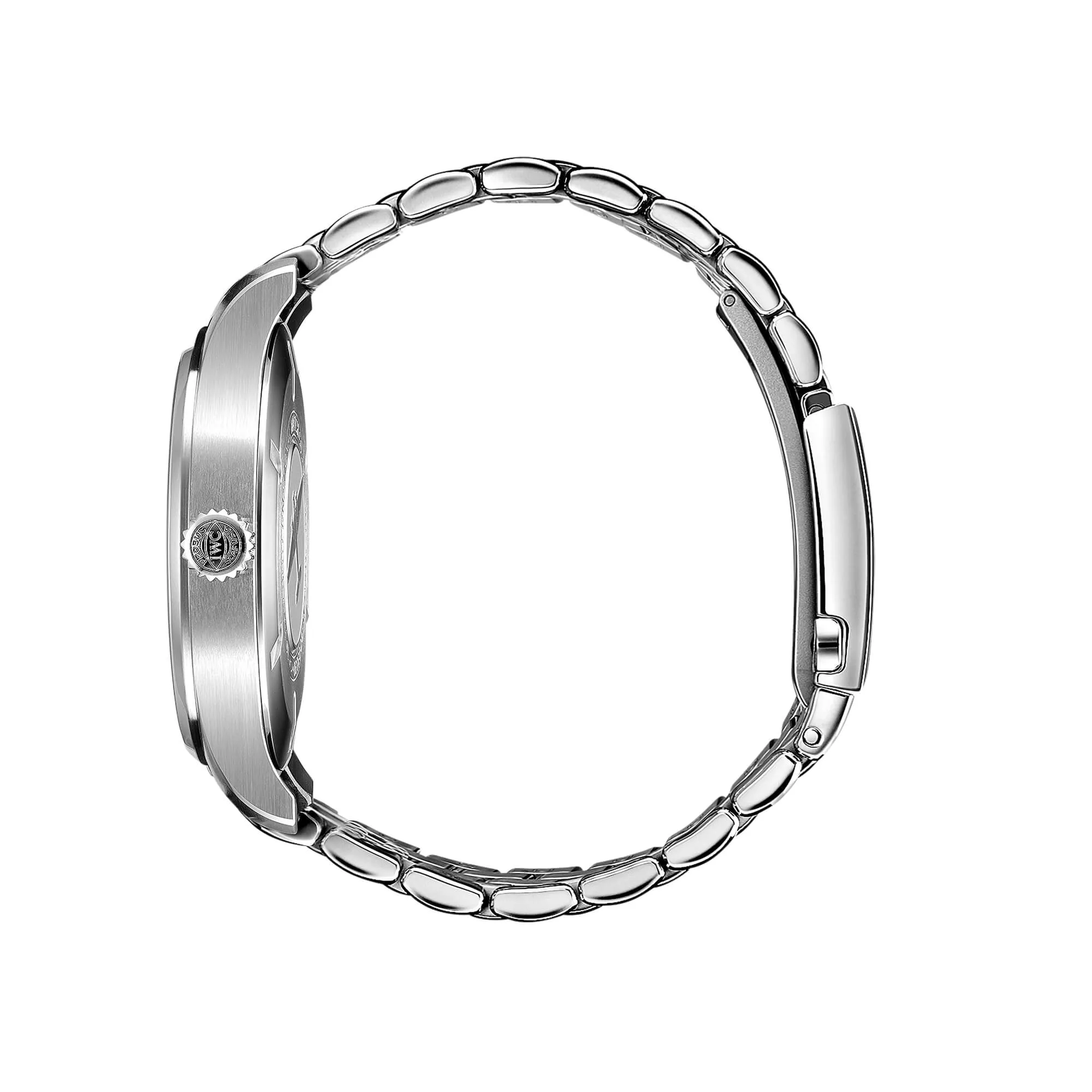 malalan-iwc-schaffhausen-pilot-watch-automatic-mark-xx-watch-IW328202-IMG5