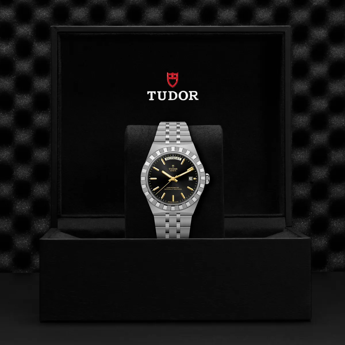 malalan-tudor-m2840d1a0-0001_img3