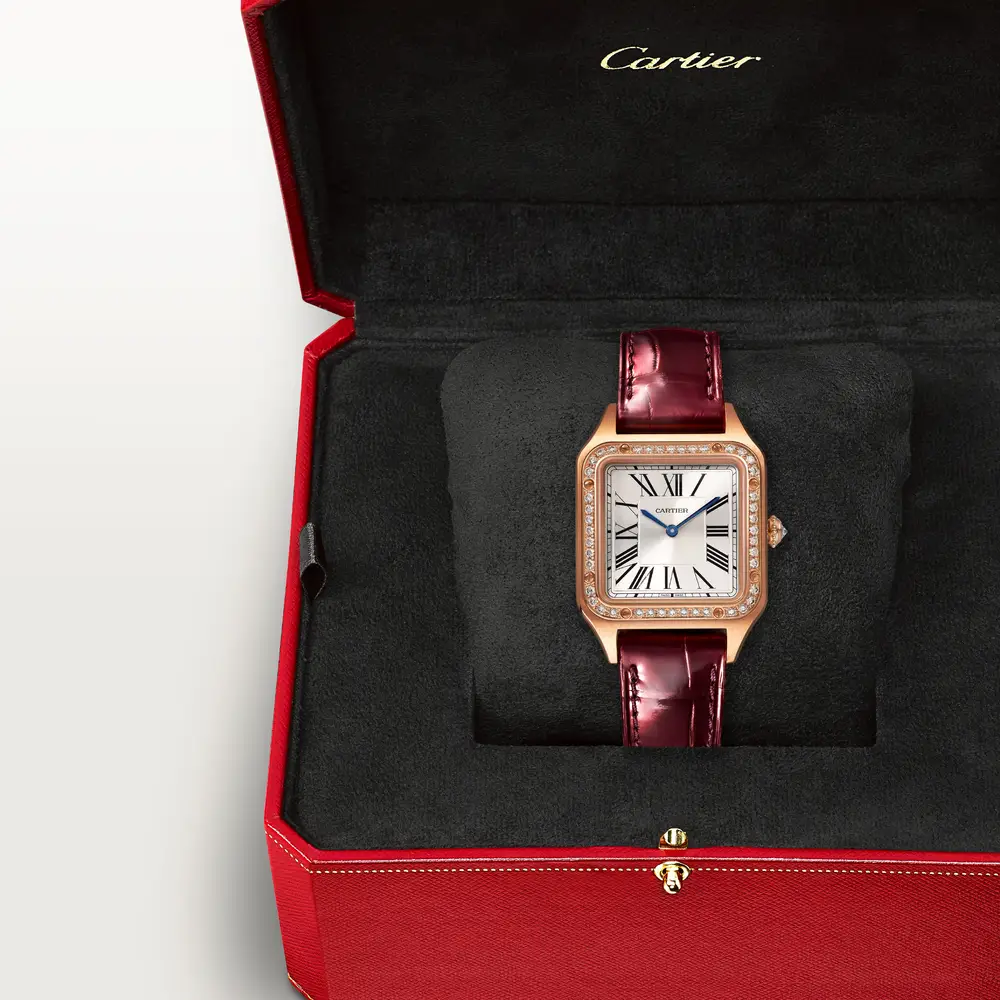 malalan_cartier_CRWJSA0026_6