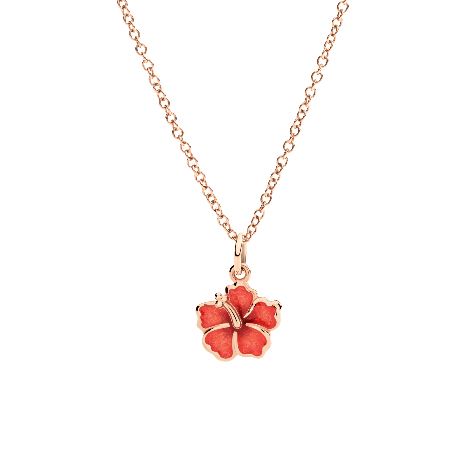 malalan_dodo_DMC5005_HIBIS_EAR9R_20