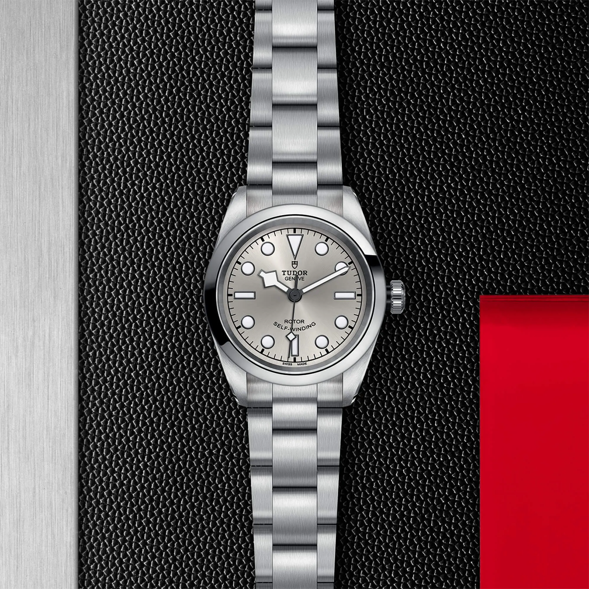 malalan-tudor-black-bay-32-watch-M79580-0007-IMG2