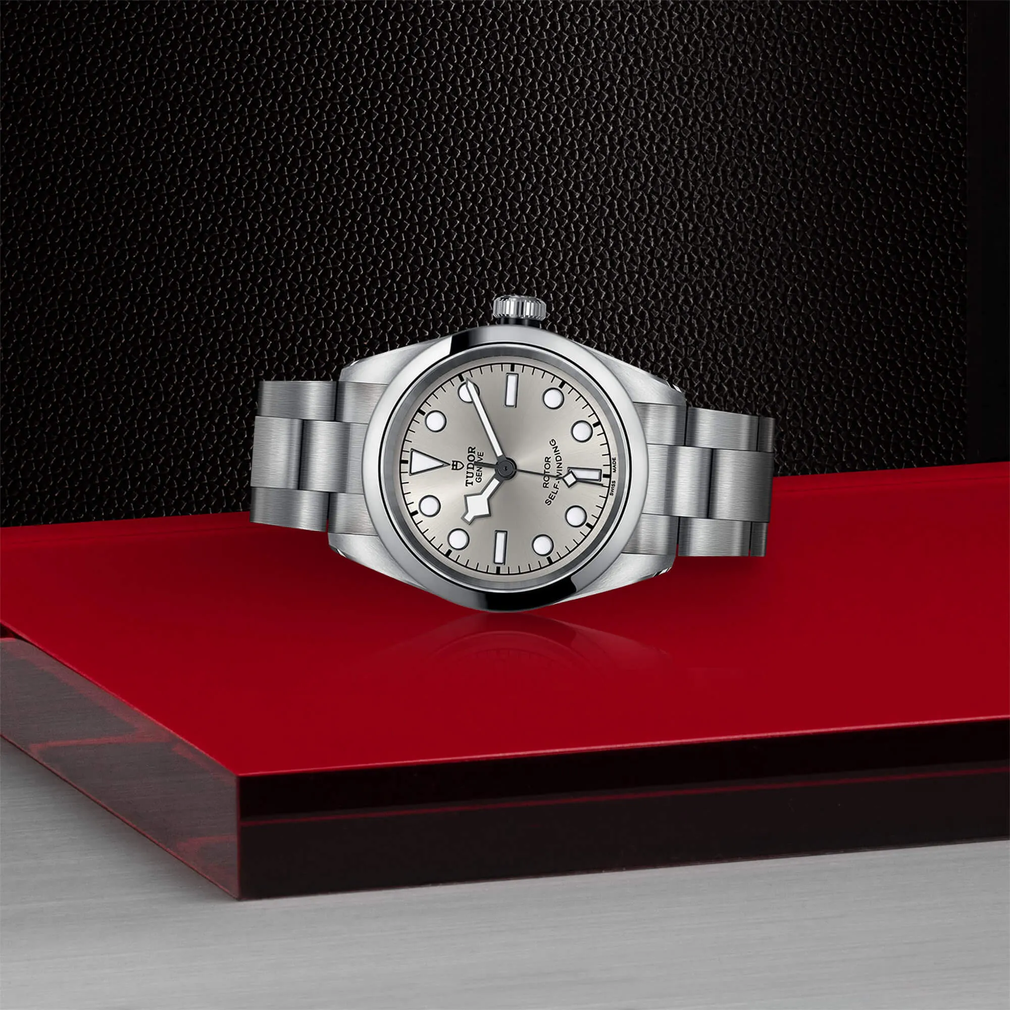 malalan-tudor-black-bay-32-watch-M79580-0007-IMG3