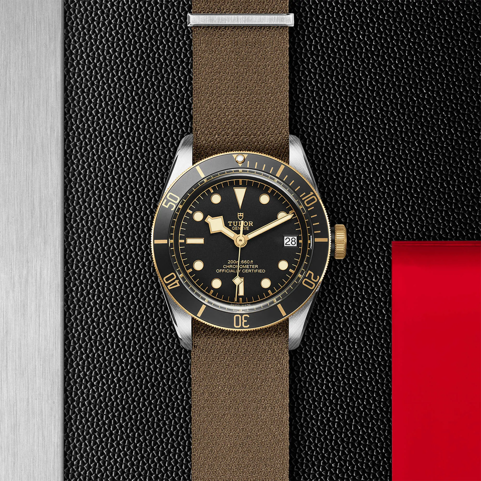 malalan-tudor-black-bay-s-g-watch-M79733N-0005-IMG2