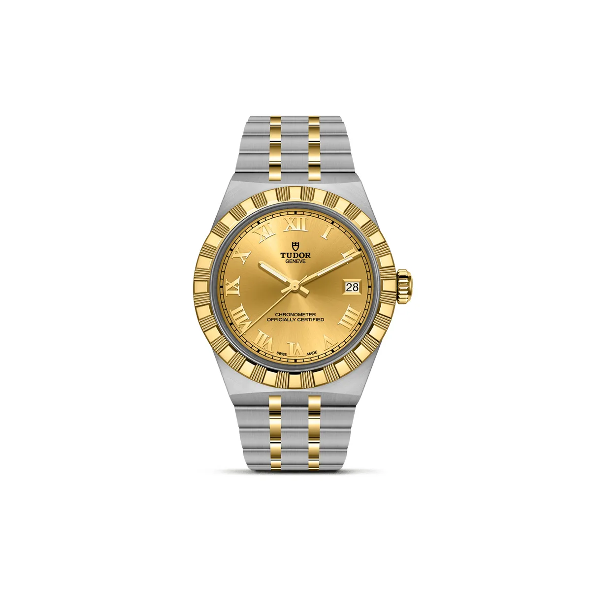 malalan-tudor-m2836c1a3-0002_img1