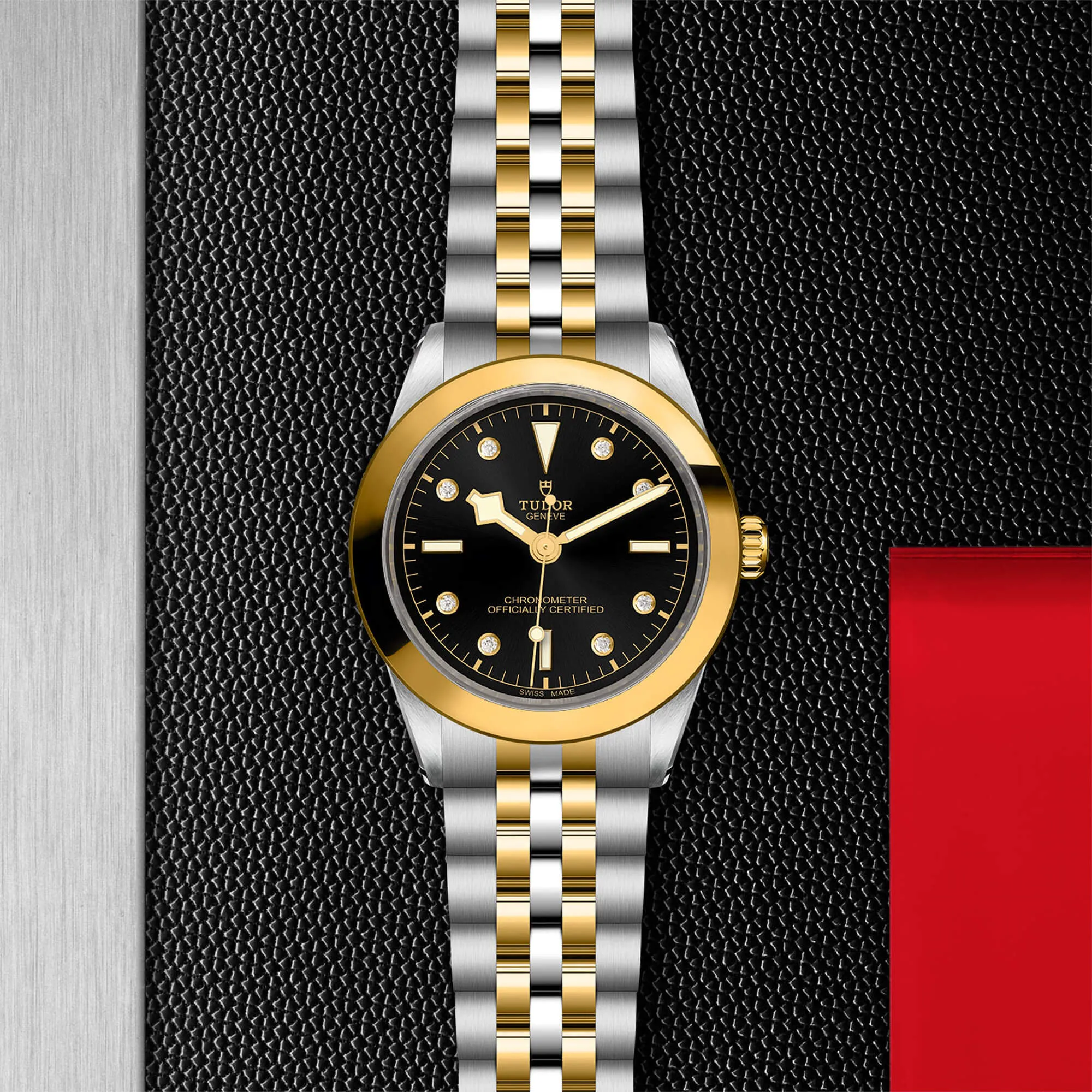 malalan-tudor-black-bay-39-sg-watch-M79663-0006-IMG3