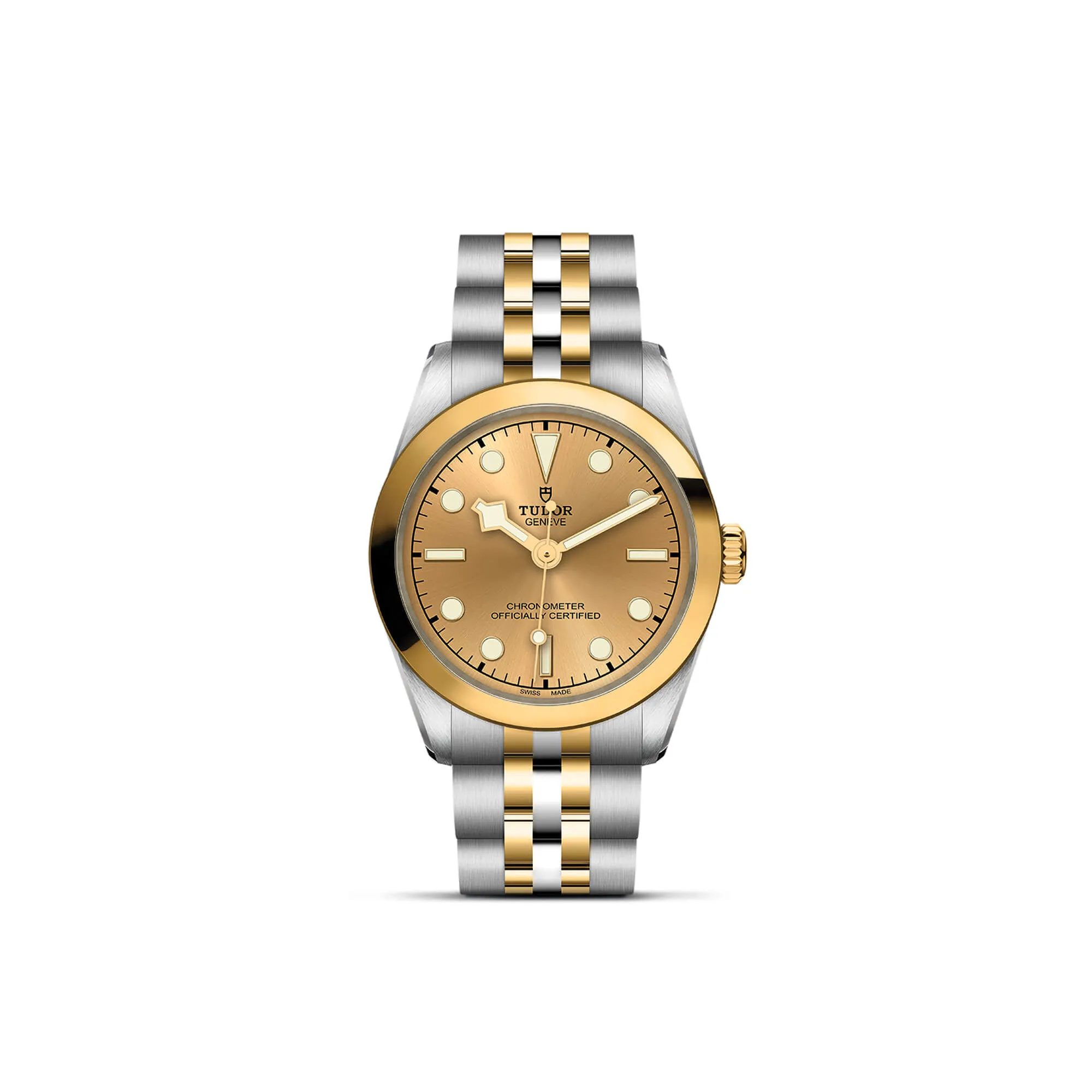 malalan-tudor-black-bay-31-sg-watch-M79603-0005-IMG1