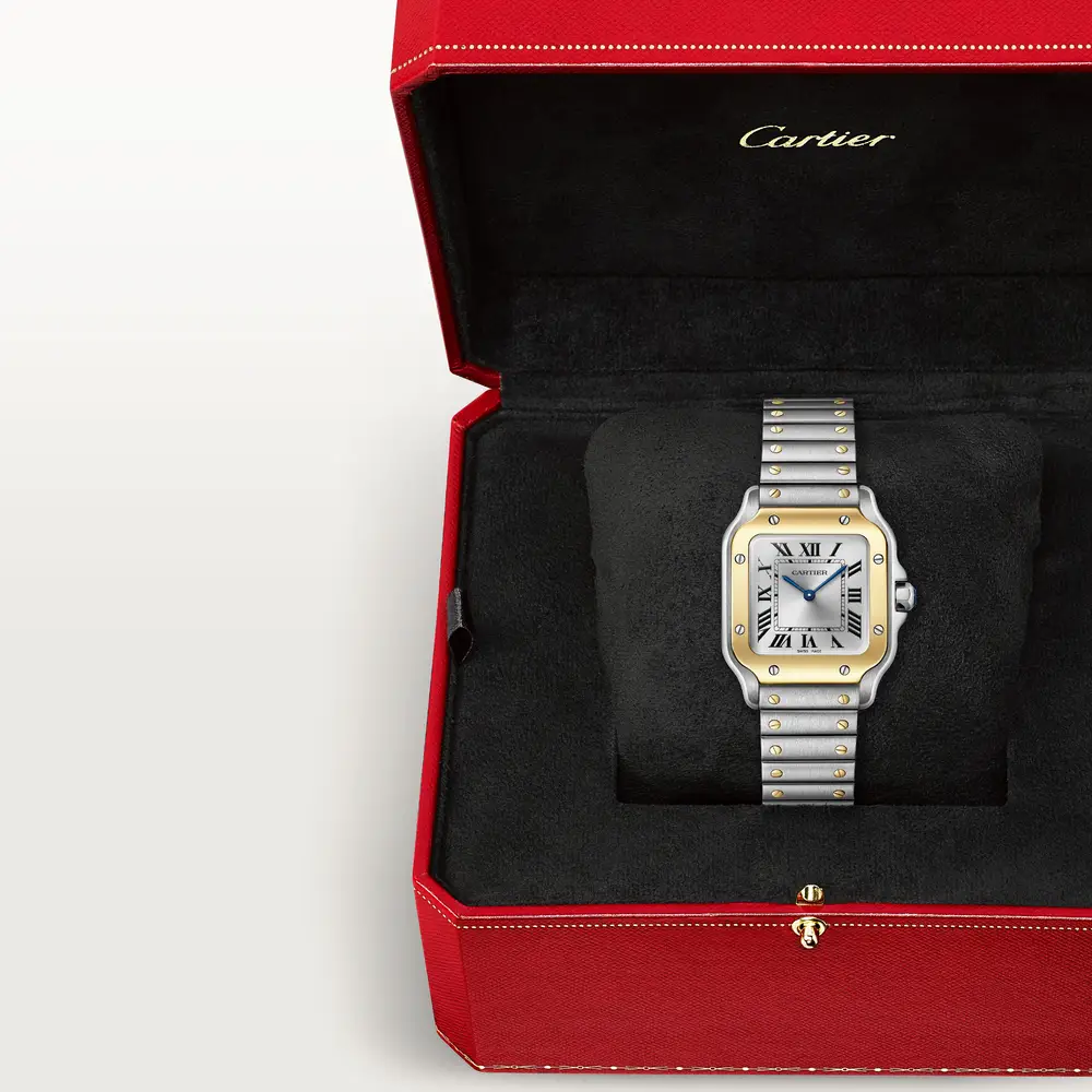malalan_cartier_CRW2SA0033_8