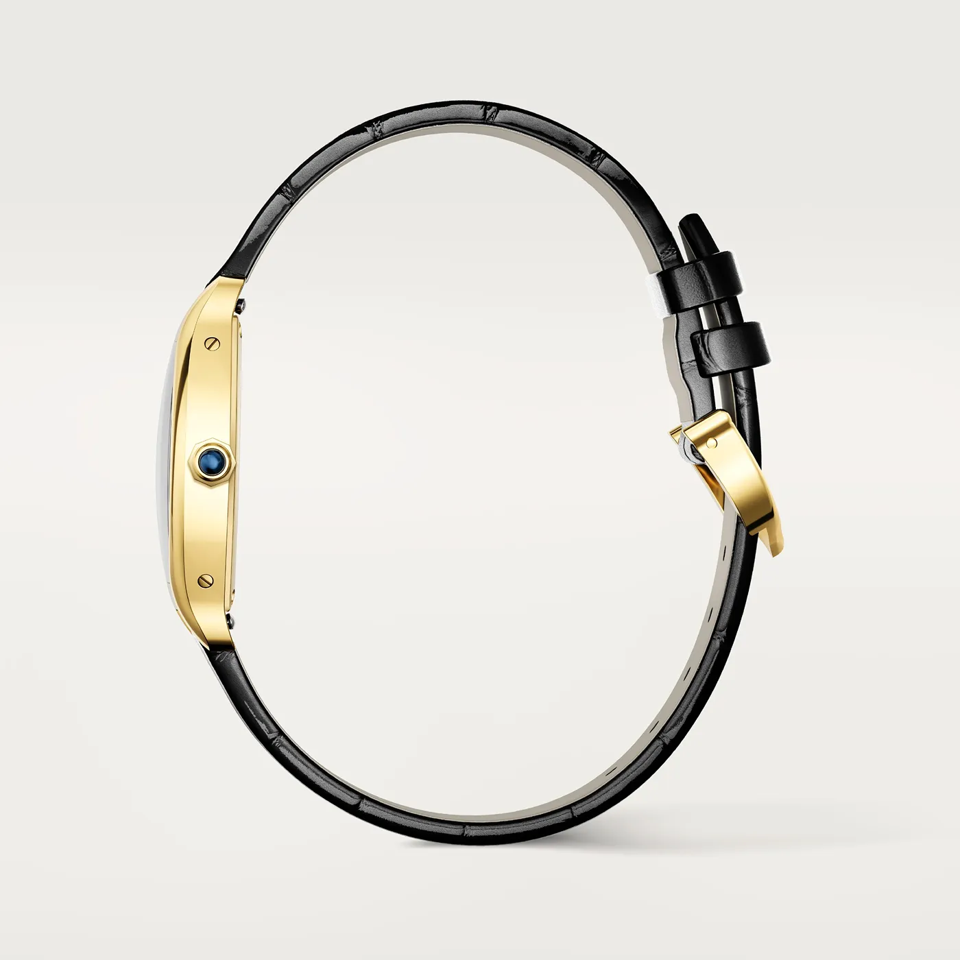 malalan_cartier_WGTO0015_3