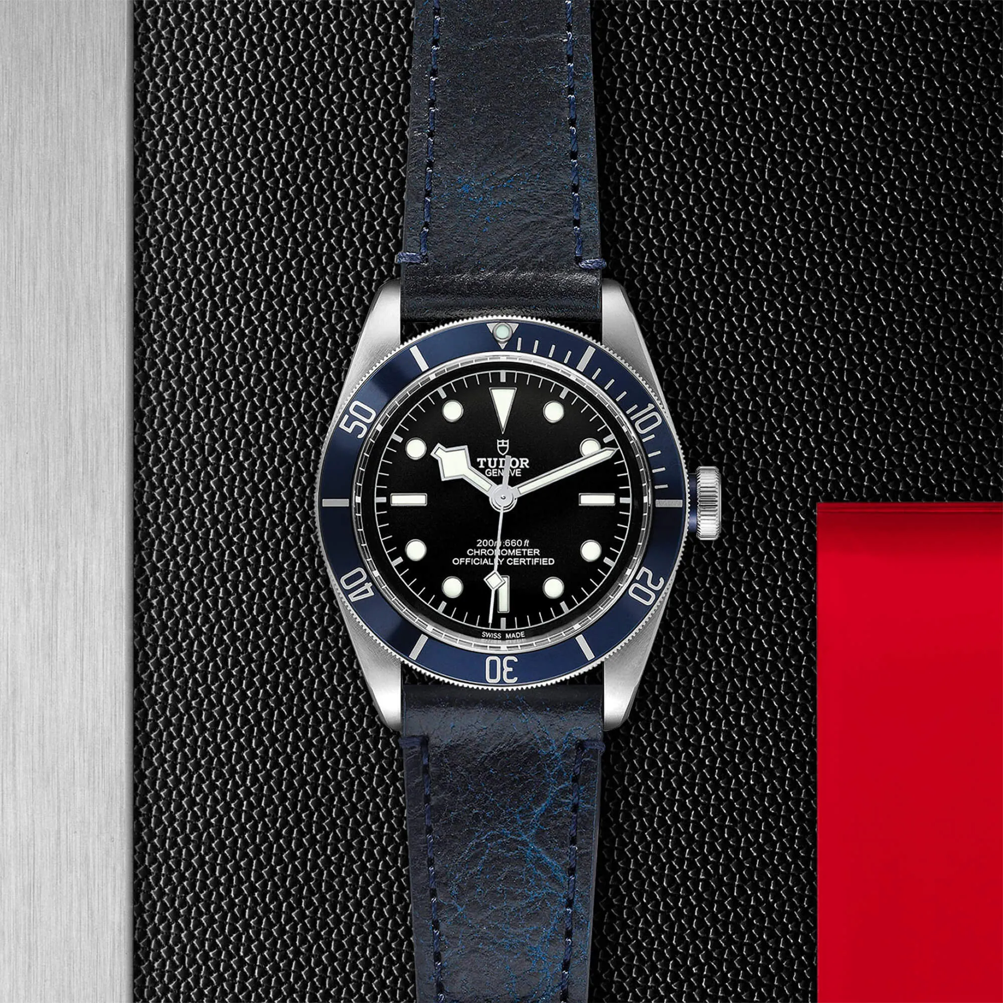 malalan-tudor-black-bay-watch-M79230B-0007-IMG2