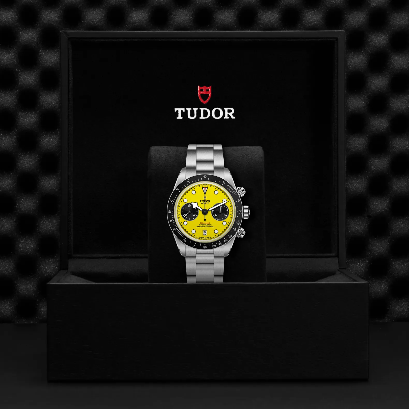 malalan-tudor-m79310n-0001_img4