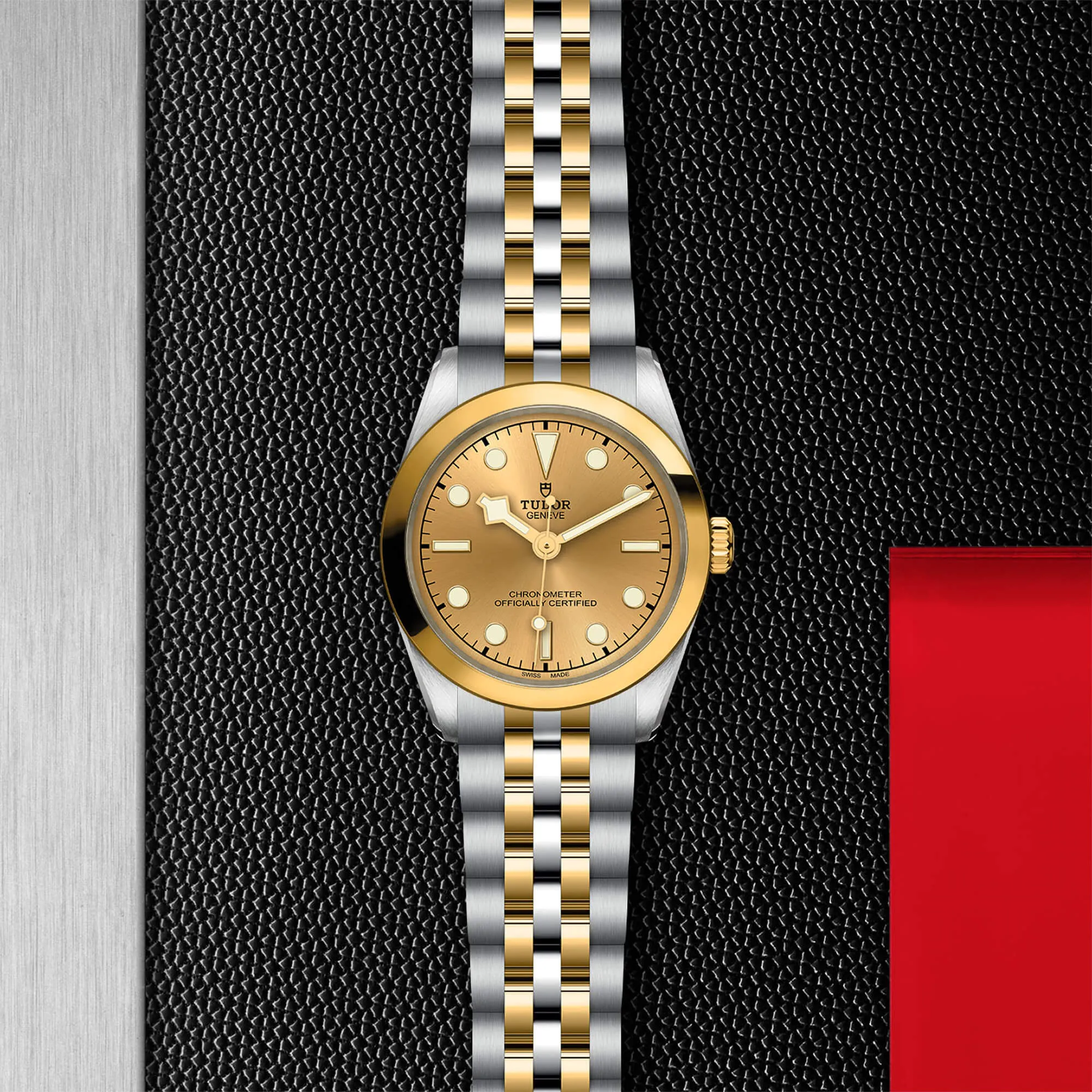 malalan-tudor-black-bay-31-sg-watch-M79603-0005-IMG3