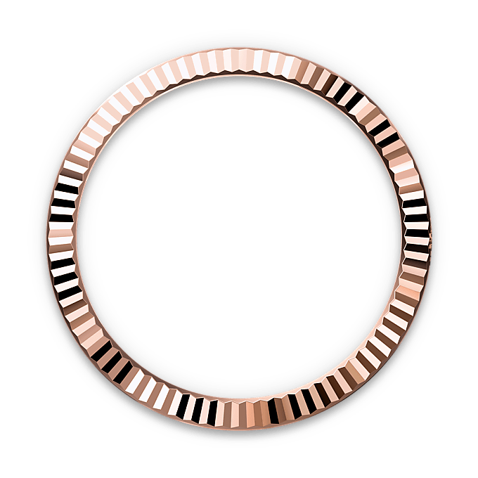 Rebrasti prsten kućišta