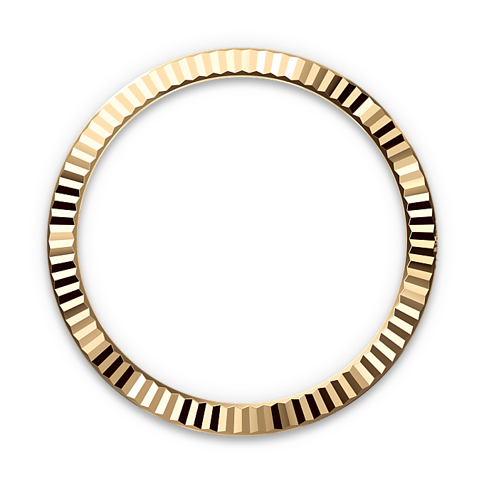 Rebrasti prsten kućišta