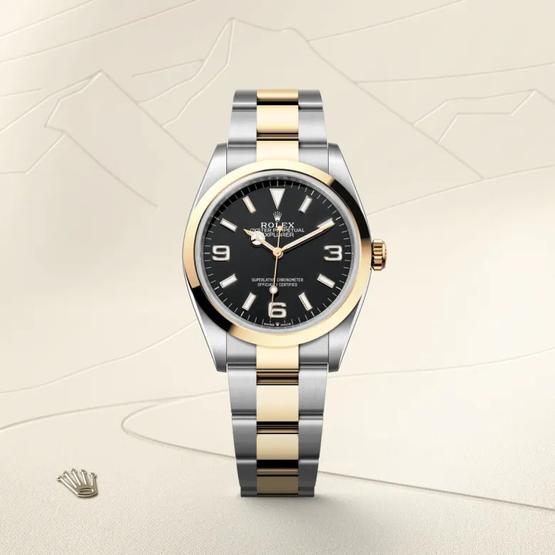 Rolex Explorer 36 Oyster, 36 mm, Oystersteel and yellow gold, Smooth m124273-0001 at Malalan.webp