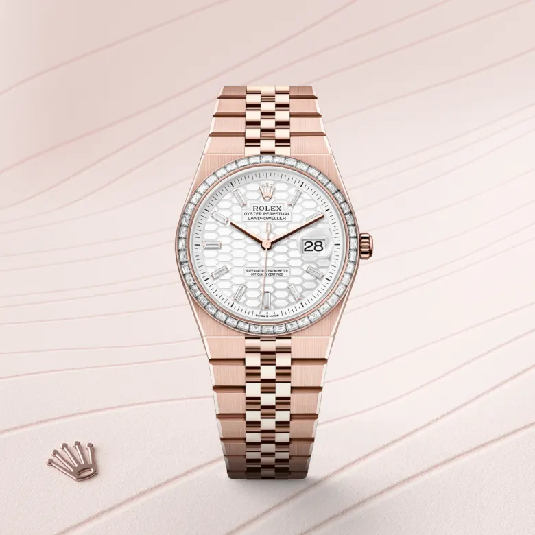 Rolex Land-Dweller 36 Oyster, 36 mm, Everose gold and diamonds, Set with diamonds m127285tbr-0002 at Malalan.webp