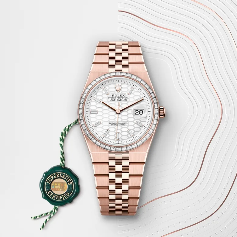 Rolex Land-Dweller 36 Oyster, 36 mm, Everose gold and diamonds, Set with diamonds m127285tbr-0002 at Malalan.webp