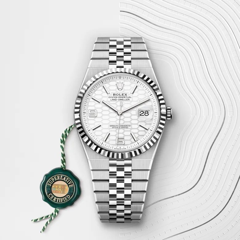 Rolex Land-Dweller 36 Oyster, 40 mm, Oystersteel in belo zlato, Nazobčano m127334-0001 pri Malalanu.webp