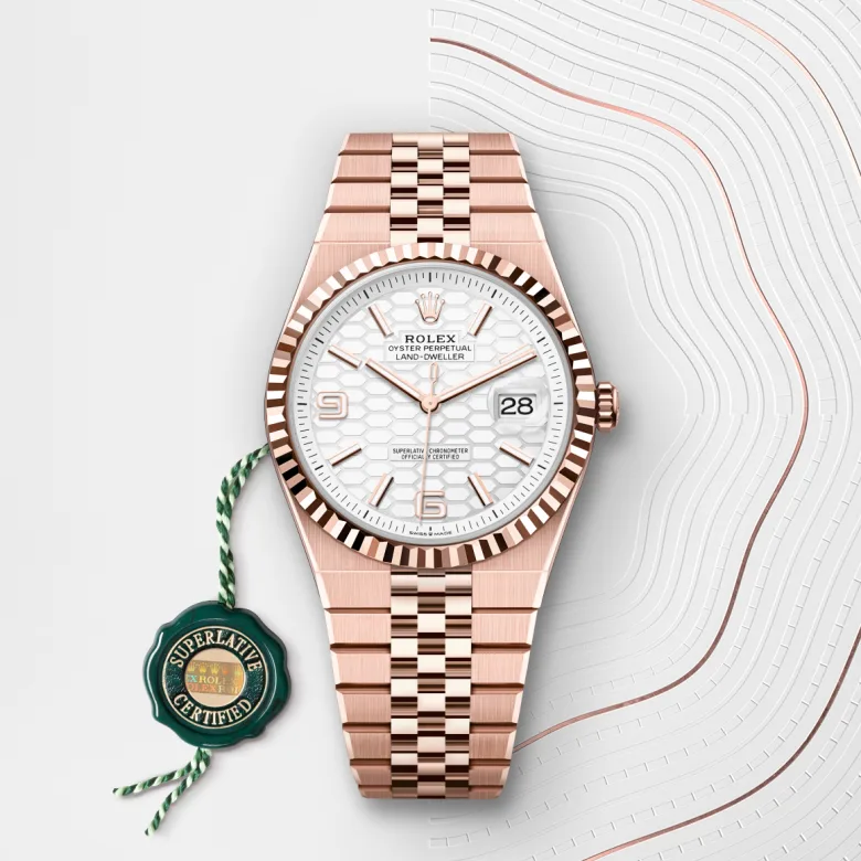 Rolex Land-Dweller 36 Oyster, 40 mm, Everose zlato, Nazobčano m127335-0001 pri Malalanu.webp